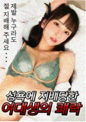 电视剧北方有雪海报